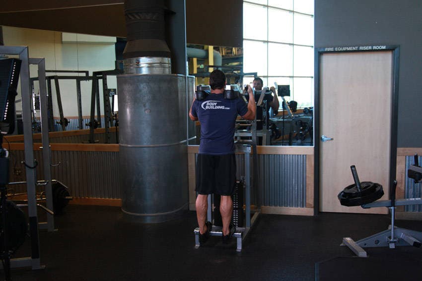 Calf Raise (Machine)