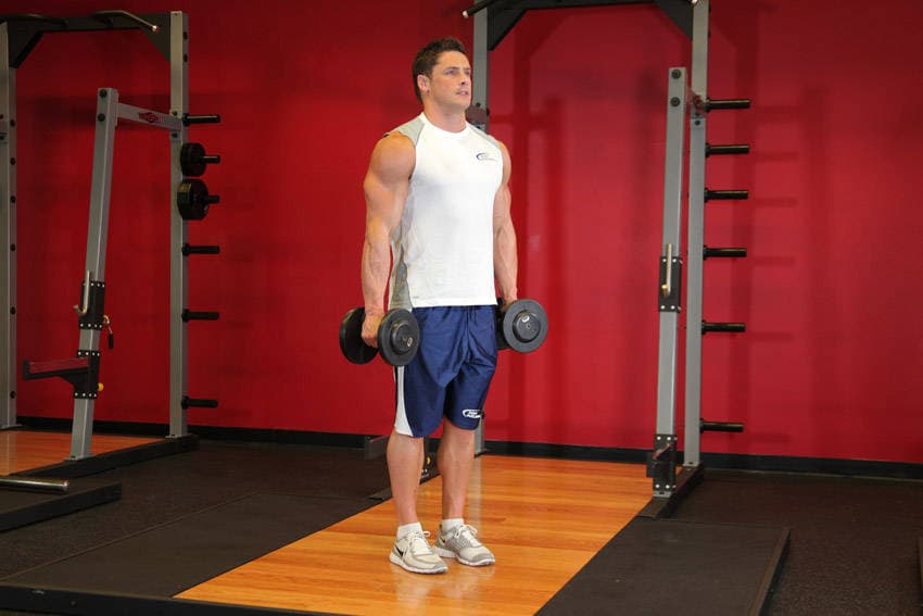 DB Hammer Curl