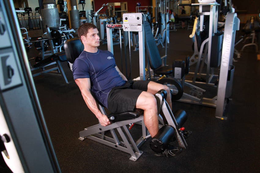Leg Extension